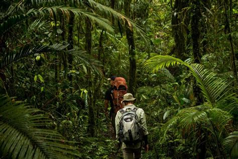 Hiking in Indonesian jungle
