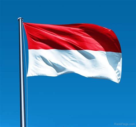 Indonesia Flag