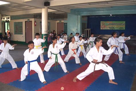 Karate Di Indonesia