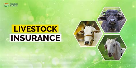 Livestock Insurance