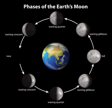 Lunar Phases and their Influence on the Earth