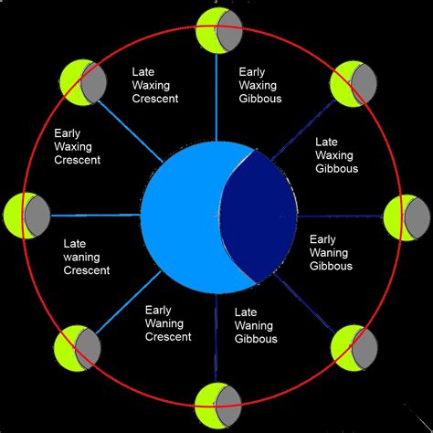 Lunar cycles and its effect on Earth