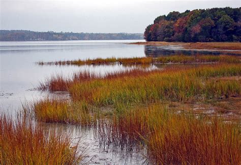 Massachusetts Coastal Lowlands