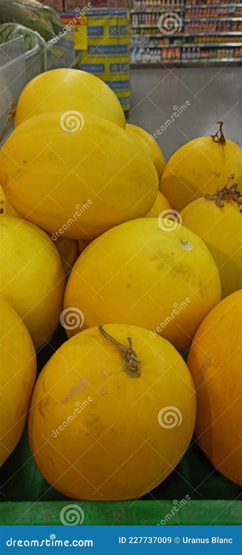 Budidaya Melon Kuning di Indonesia: Tips dan Manfaatnya