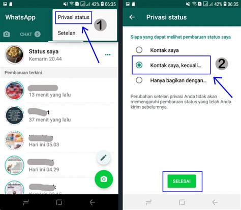 Menyembunyikan Status Teks di WhatsApp Plus