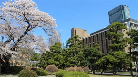 Multilingual Learning Environment at Japanese universities