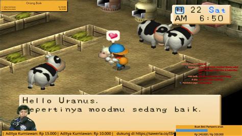 Mencari Pacar dan Menikah di Harvest Moon: Back to Nature Bahasa Indonesia