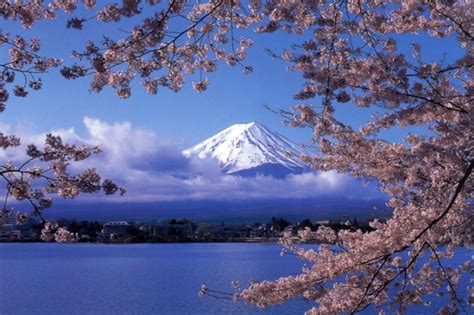 Pemandangan Gunung Fuji di Musim Panas