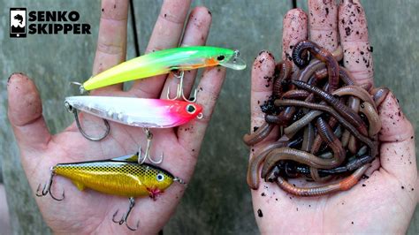 Use the Right Lure and Bait