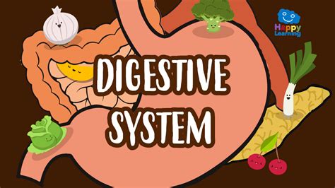 digestive system word