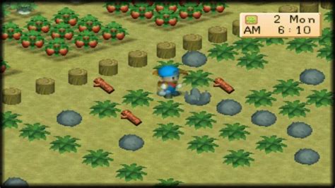harvest moon back to nature pc controls