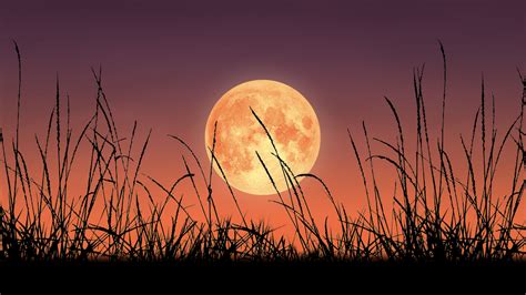 Harvest Moon Time