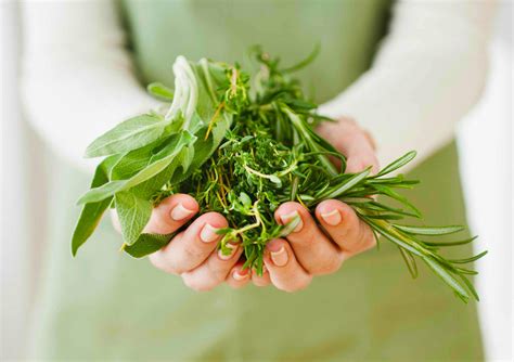 Herbal merupakan obat alami yang sangat ampuh dalam mengatasi berbagai macam penyakit