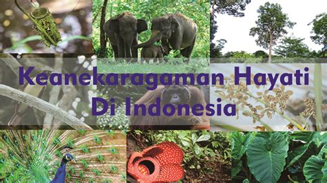 Keanekaragaman Hayati di Indonesia