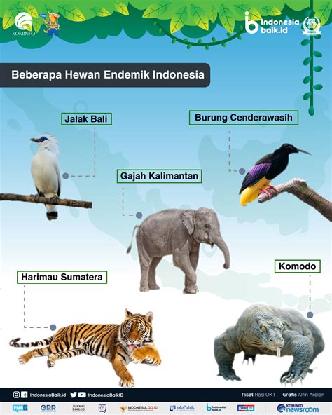 Klip art binatang endemik Indonesia