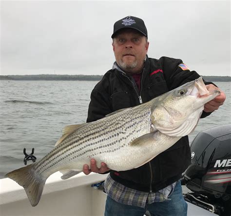 lake texoma fishing