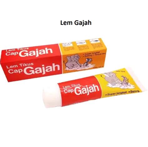 lem gajah in household