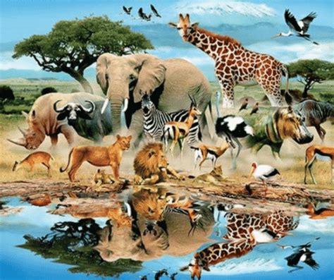 Mengenal Lebih Dekat Hewan dan Tumbuhan di Sekitar Kita