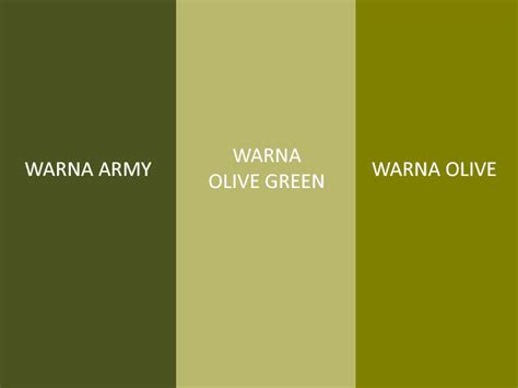 perbedaan warna olive dan hijau tua