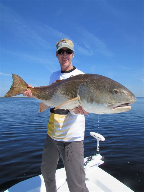 Red Drum Fishing Patience