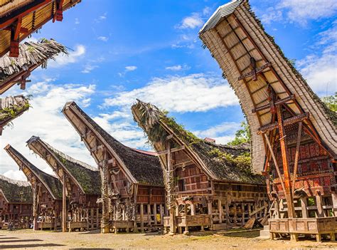 Rumah Adat Toraja