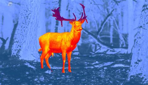 Thermal Imager Apps for hunting