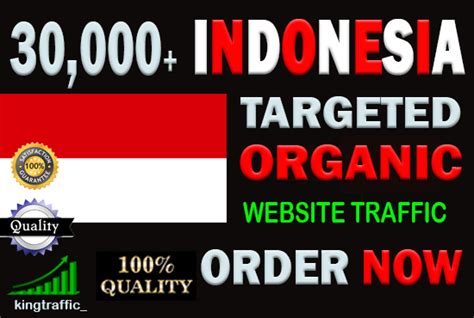website traffic indonesia