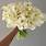 Lily-Wedding-Bouquet
