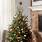 Small-Christmas-Tree

