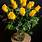 Yellow-Roses-Bouquet
