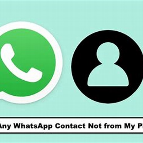 Solution if WhatsApp Contact Not Deleted