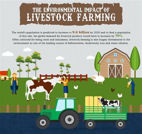 Environmental Impact of Farming