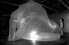 inflatable make walrus need