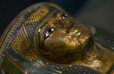 mummies egyptian ancient mummy mysteries museum unwraps egypt