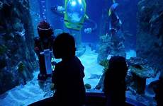 legoland aquarium sea life ca