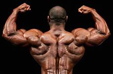 bodybuilding sample nutrition muscles diet