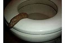 poop toilet poo party amazon human turd