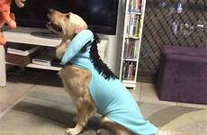 prom matching dog outfits her fetching teen service look lacey erin life huffingtonpost