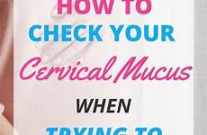 choose board mucus cervical