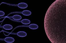 mating sperm psychedelic sexual dello sperma attacco men ataque esperma abstraction bokeh evolution sperme attaque wallup