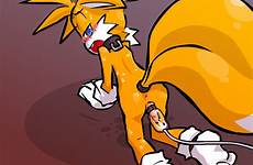 tails rule34