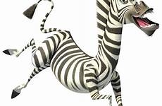 zebra madagascar marty dreamworks melman franchise giraffe zebras outnow 2005 seekpng parody clipartspub produzent dvd