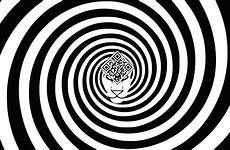 hypnosis hypnotic spirals spirale hypnose beast