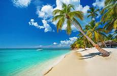 dominican republic beach tropical punta cana