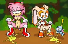 sonic amy cream rose peeing rule34 rule 34 rabbit hedgehog cheese deletion flag options female chao