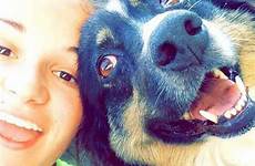 dog dogs selfies buzzfeed