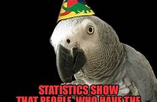birthday happy funny memes parrot bird meme good says animals statistics old people party humor birthdays animal choose board