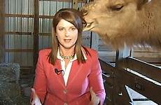 morgan tara camel reporter hair eat tries hump gets tv after her nbc12 irony cruelty filming anchor animal story