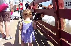 zoo goats petting