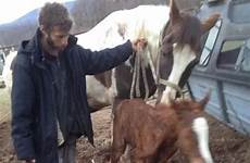 farmers raped trio sick goats ordered teenage